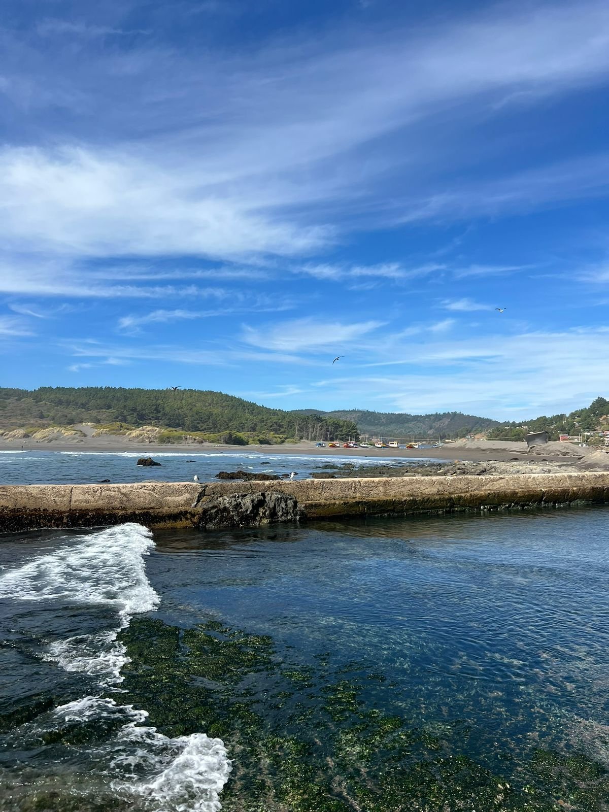 Naturaleza