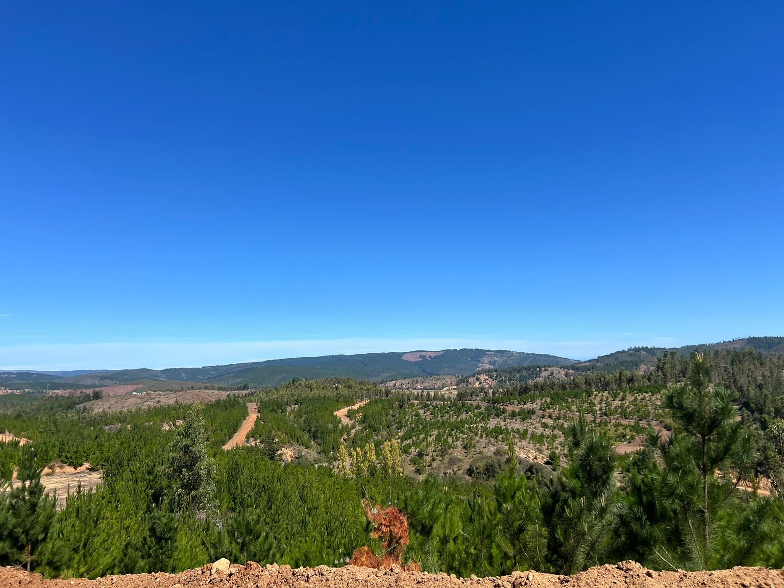 Camino rural